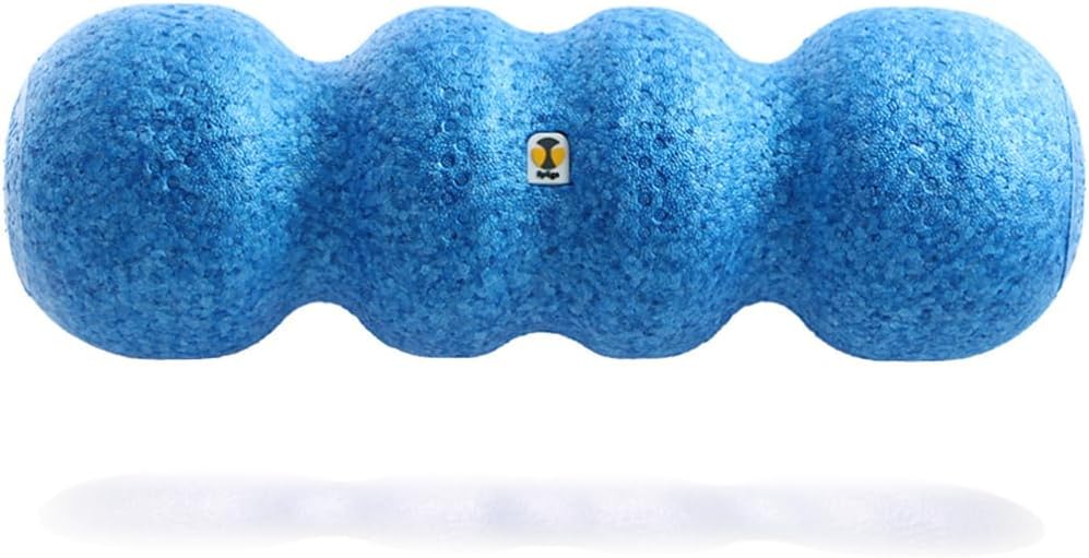 Rollga Foam Roller – High Density Foam Roller for Back Pain Relief, Deep Tissue Massage & Muscle Recovery. Physical Therapy Exercise Tool for Neck, Back, Legs, & Feet. Yoga & Pilates Roller
